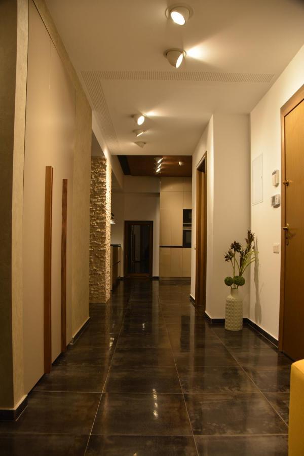 Juniper Apartment ブラショフ エクステリア 写真