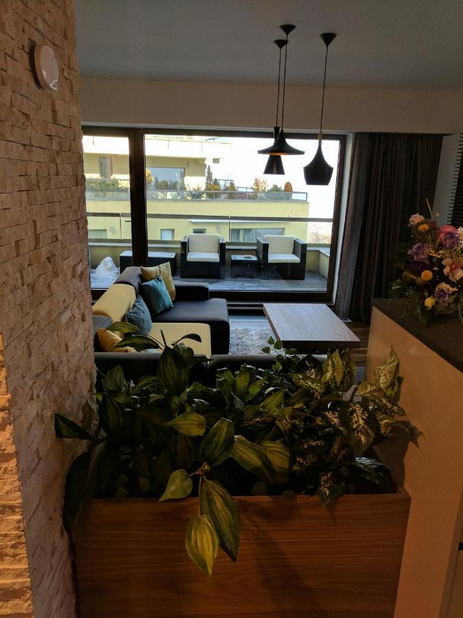 Juniper Apartment ブラショフ エクステリア 写真